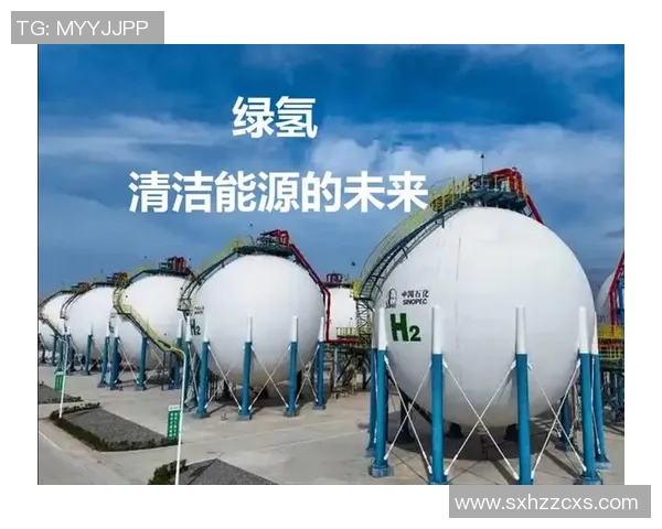 全球挑战赛特别报道LNG逆袭之旅揭示清洁能源新机遇与未来发展潜力