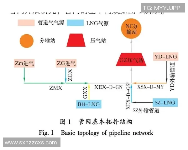 区域防守策略解析：液化天然气市场的应对之道与发展趋势