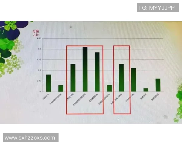 武汉滑板队战术分析与技巧提升的全面探讨与研究